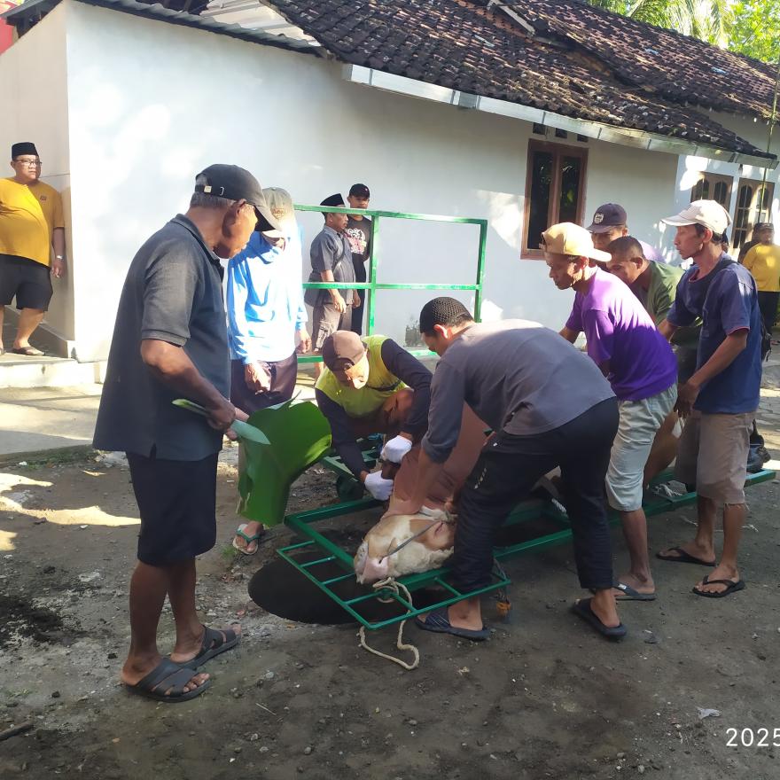 Padukuhan Tunjungan Pusatkan Kegiatan Idul Adha 1466 H di Masjid At-Ta’mir